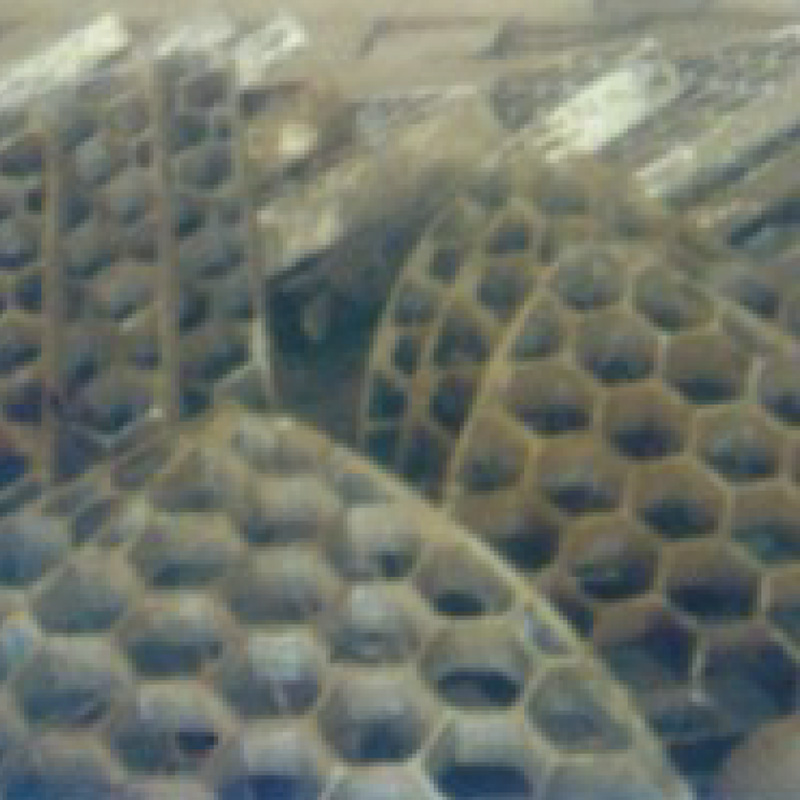 Honeycomb panels